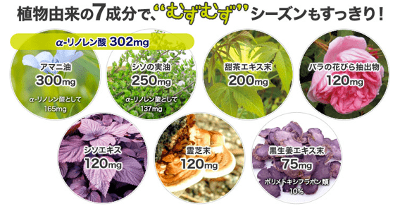 むずむず_2個セット___健康食品のDHC.png むずむず 2個セット 健康食品のDHC