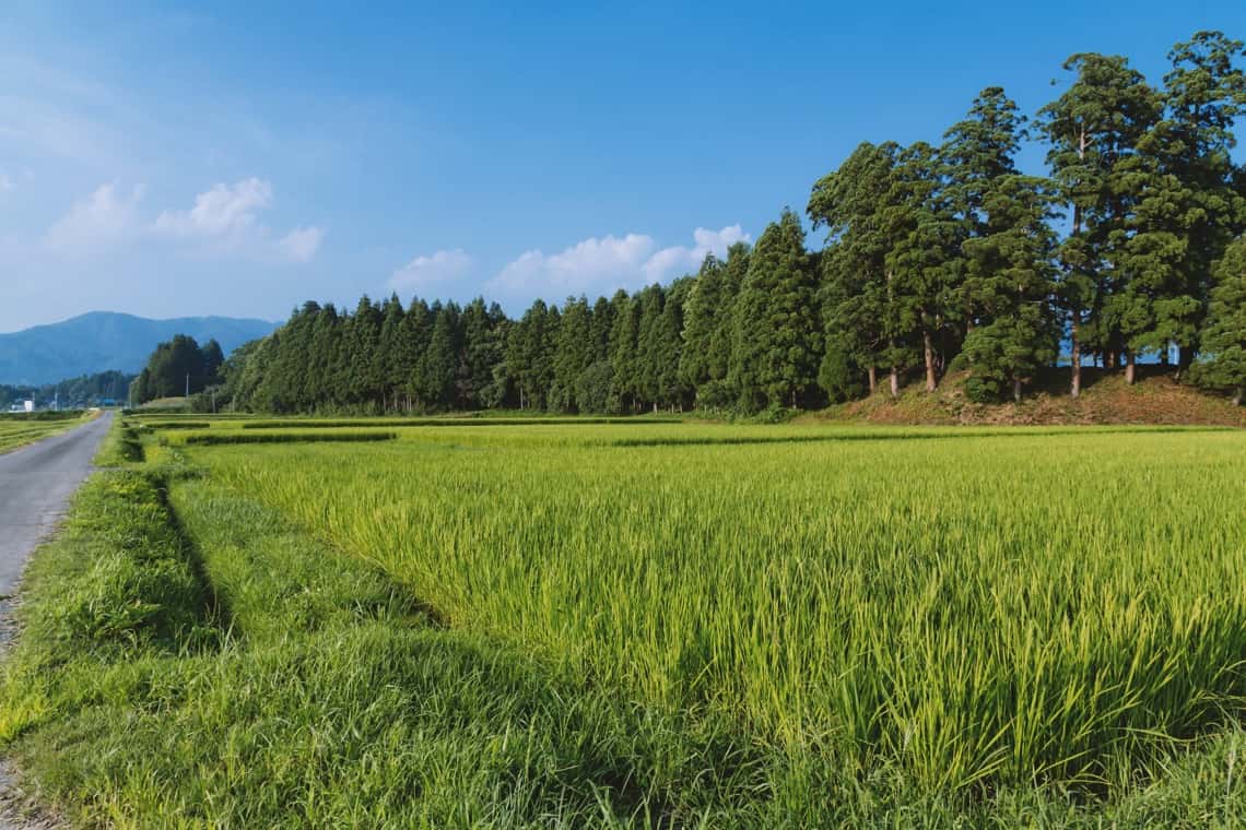 田舎ブロガー.jpg 田舎ブロガー