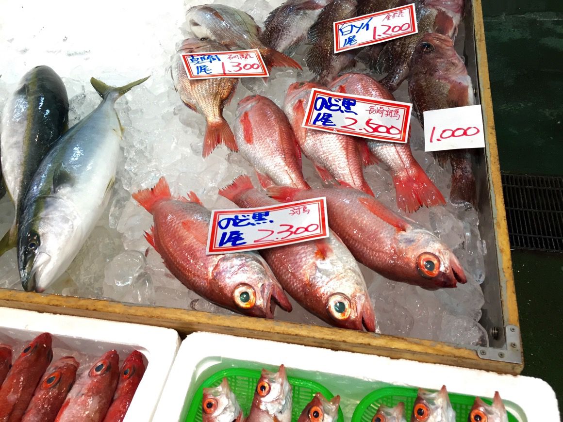 金沢港いきいき魚市 のどぐろ.jpg 金沢港いきいき魚市 のどぐろ