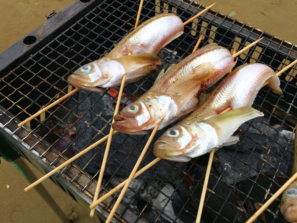 千里浜バーベキュー ハタハタ.jpg 千里浜バーベキュー ハタハタ
