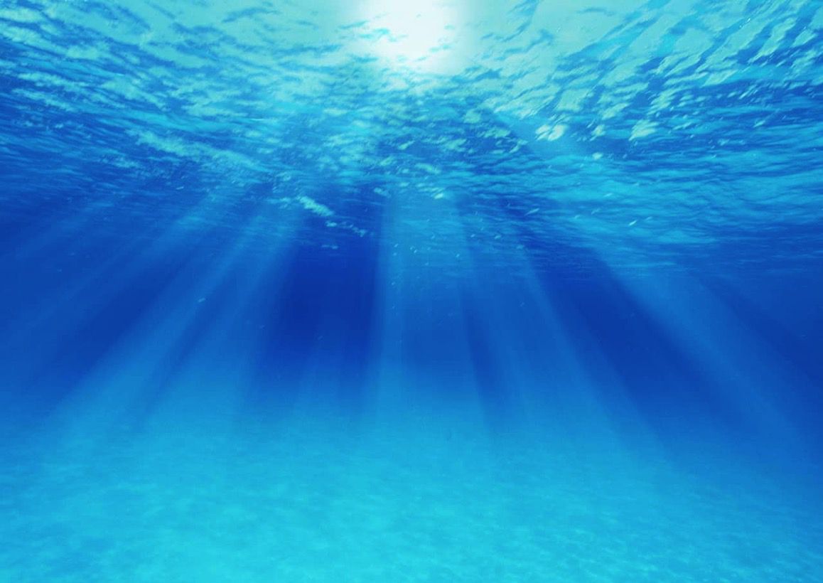 海の中.jpg 海の中